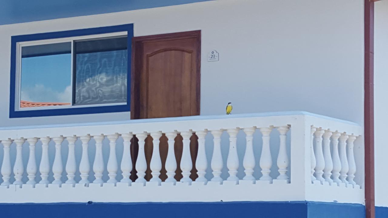 Hotel Grosseto Palma Real Loma Ngoại thất bức ảnh