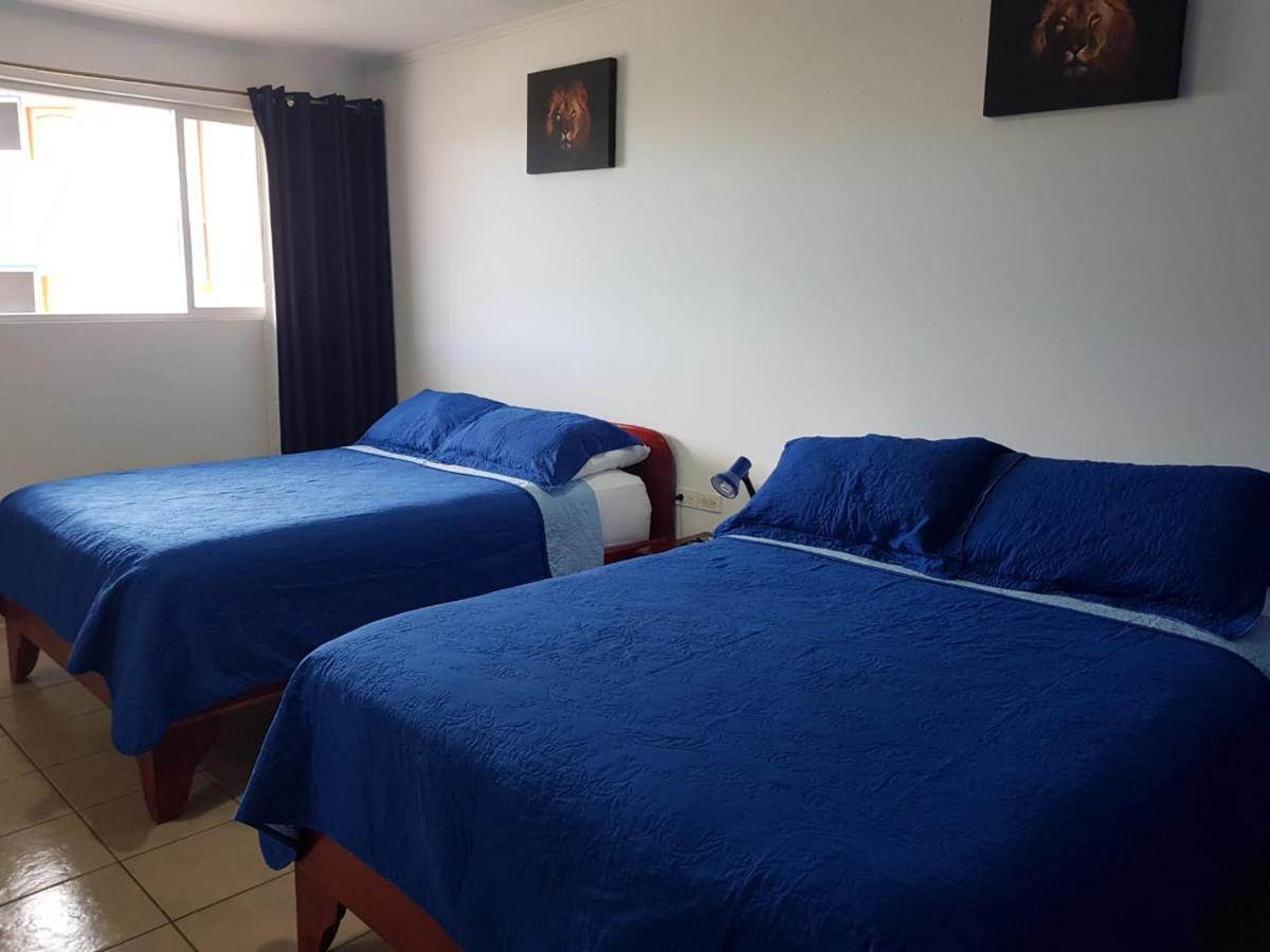 Hotel Grosseto Palma Real Loma Ngoại thất bức ảnh