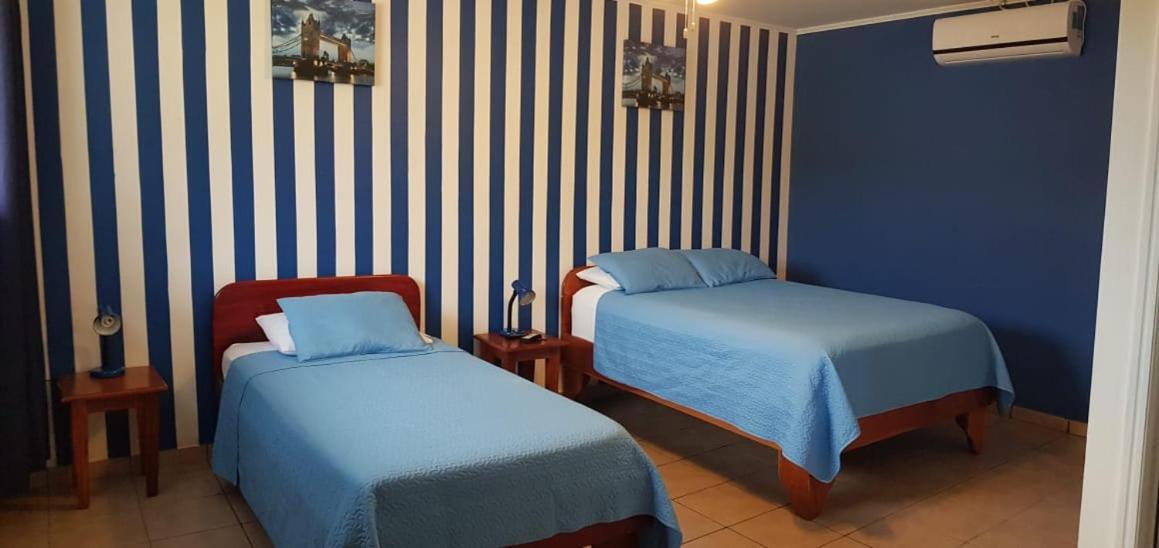 Hotel Grosseto Palma Real Loma Ngoại thất bức ảnh